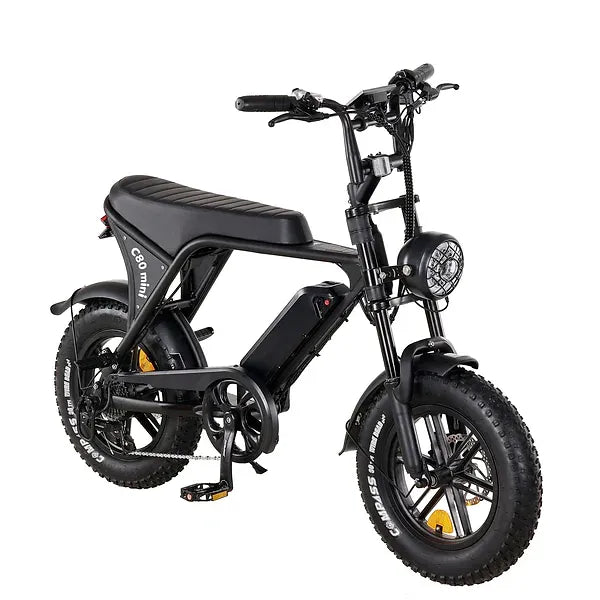 C80 mini 500 WATT + Achterzitje + Voetsteuntjes + Alarm